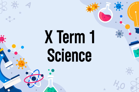 X Term 1 Science