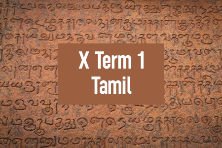 X Term 1 Tamil