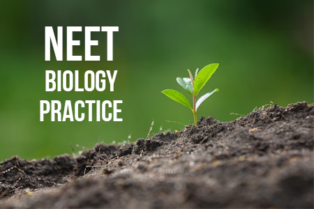 NEET Biology Practice 