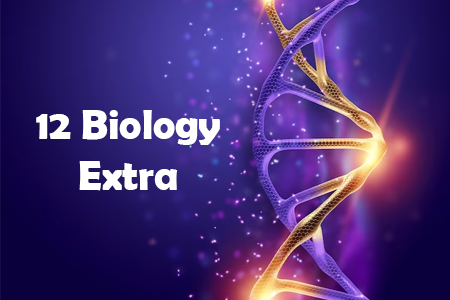 12 Biology Extra