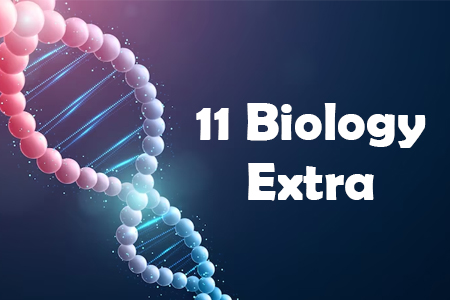 11 Biology Extra