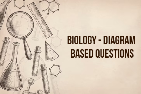 BIOLOGY -  DIAGRAM BASED QUESTIONS