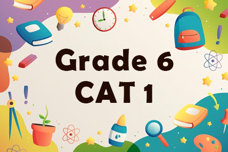 Grade 6 CAT 1