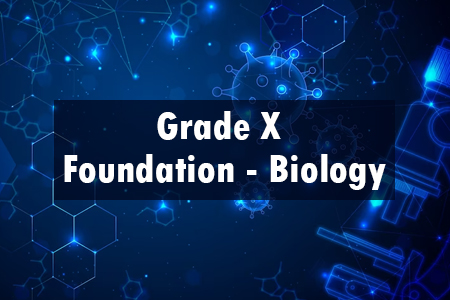 Grade X Foundation - Biology